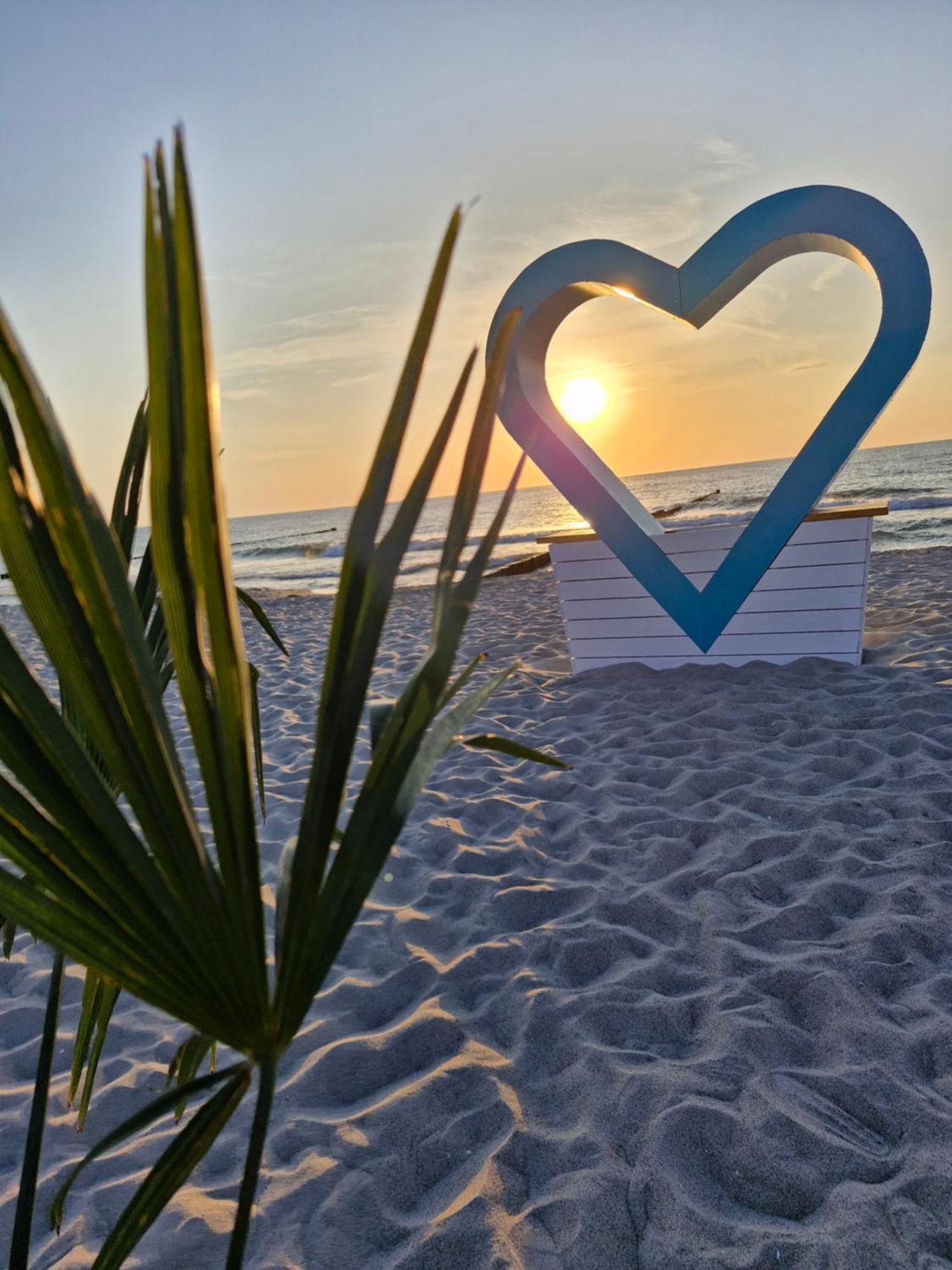 Ferienwohnung Ostseegras Markgrafenheide, 350M Bis Zur Ostsee, Unweit Von Warnemuende Rostock Extérieur photo